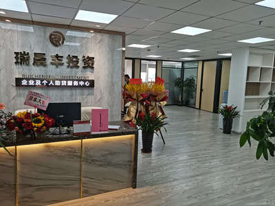 專業助力，信息賦能 探析廣西瑞晨豐商務信息咨詢服務有限責任公司的服務價值